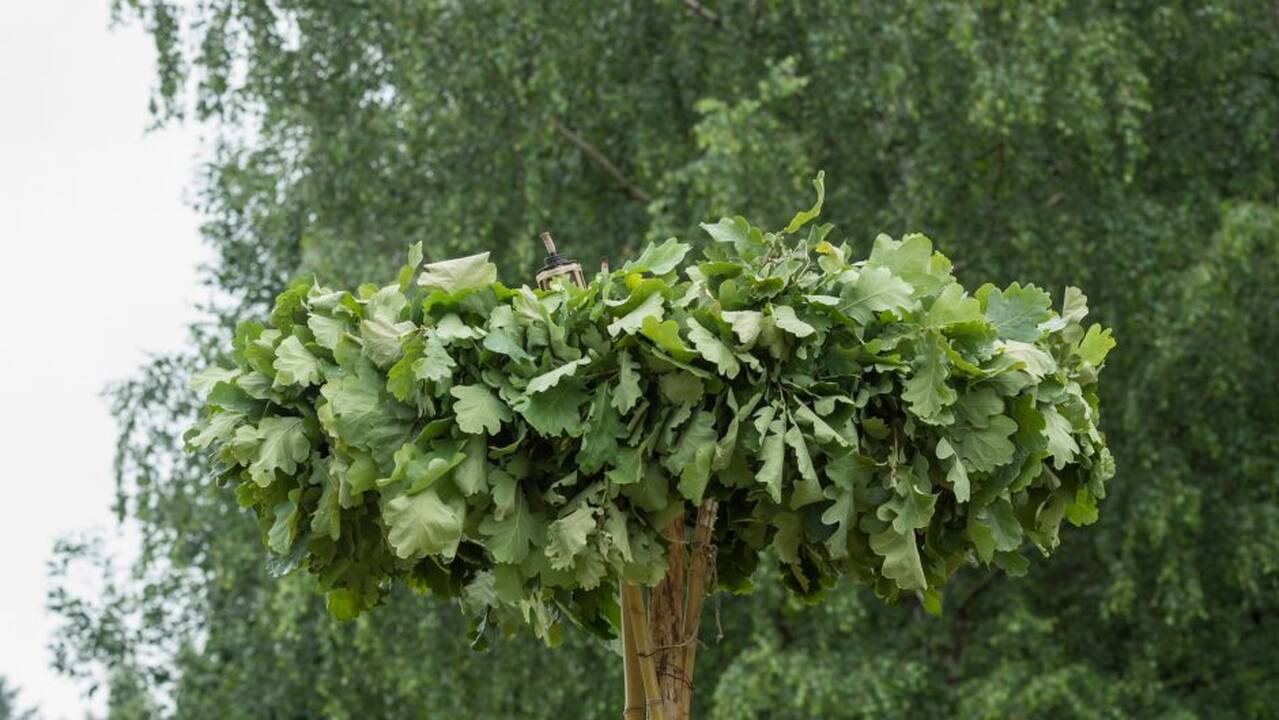 Joninės Rumšiškėse