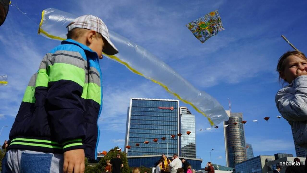 Projektas "Vilniaus dangaus vėliavos"