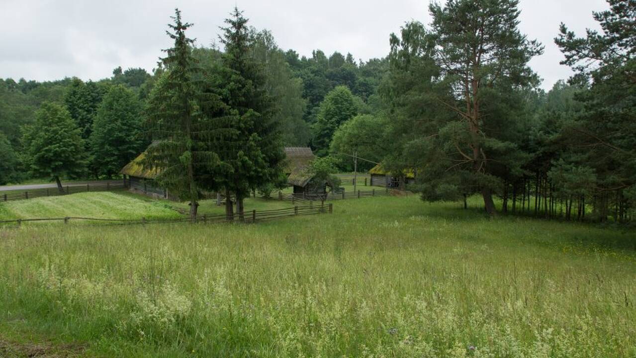Joninės Rumšiškėse