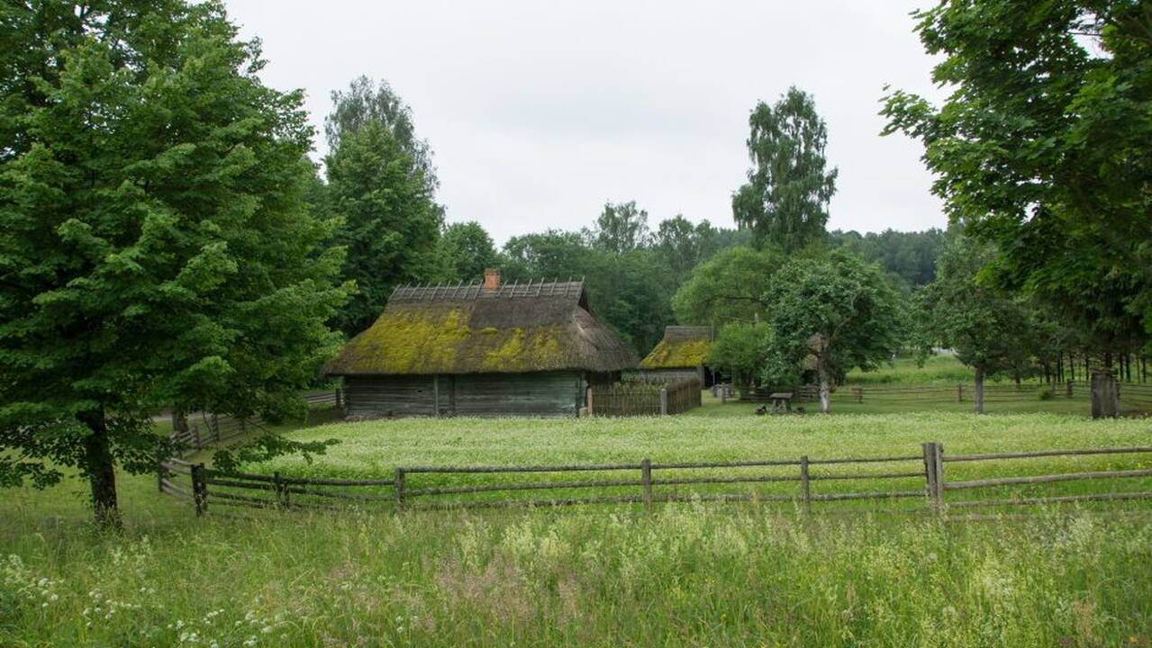 Joninės Rumšiškėse