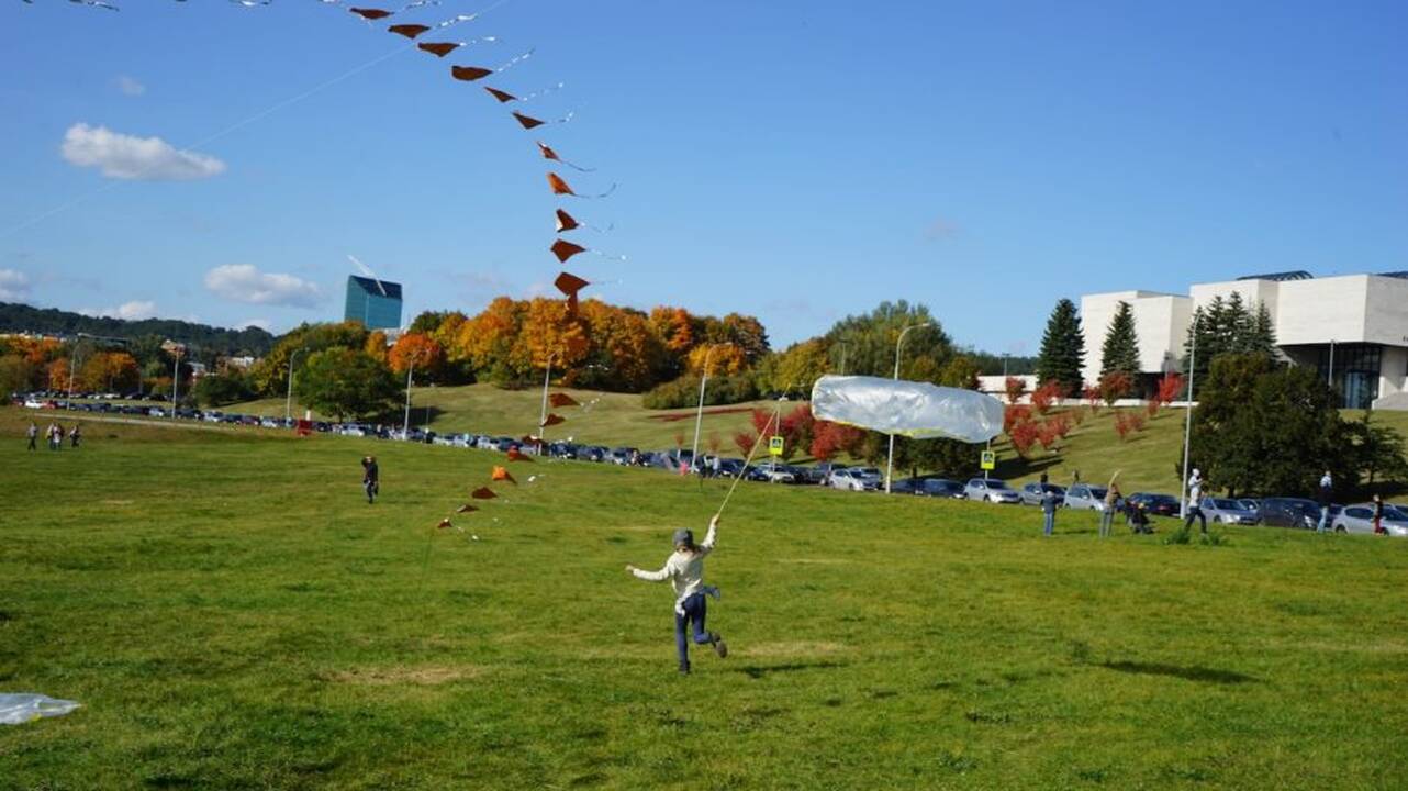 Projektas "Vilniaus dangaus vėliavos"
