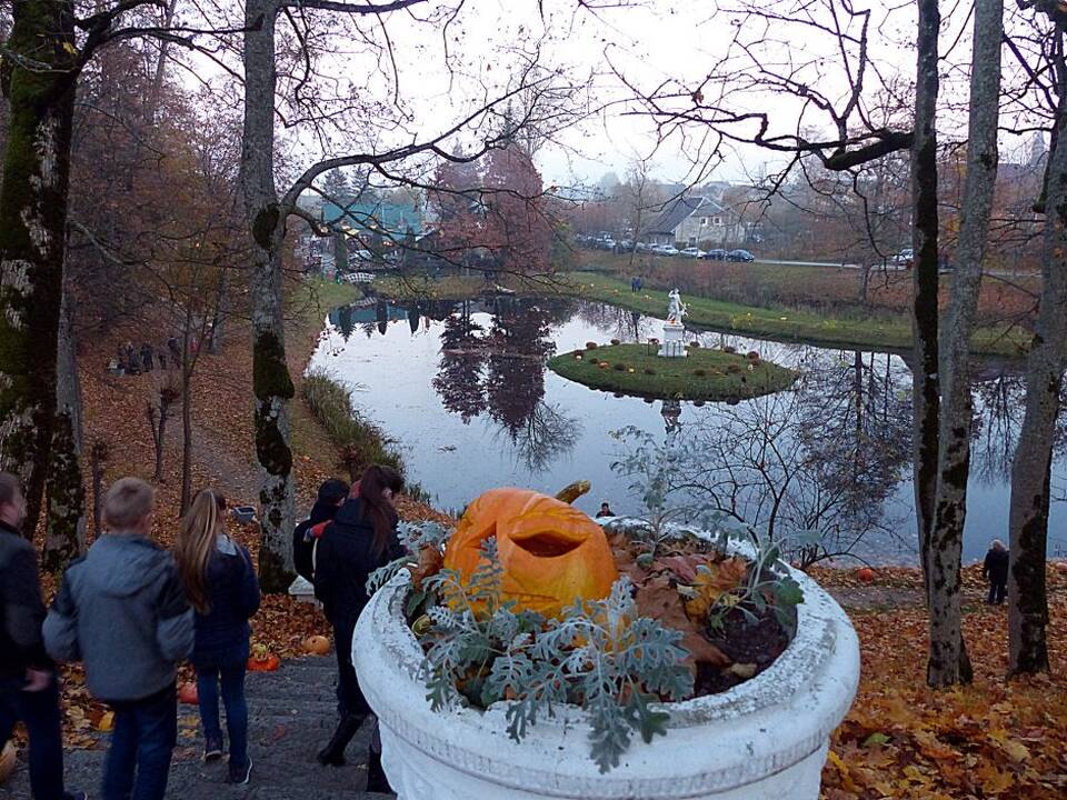 Moliūgų šventė Švėkšnoje