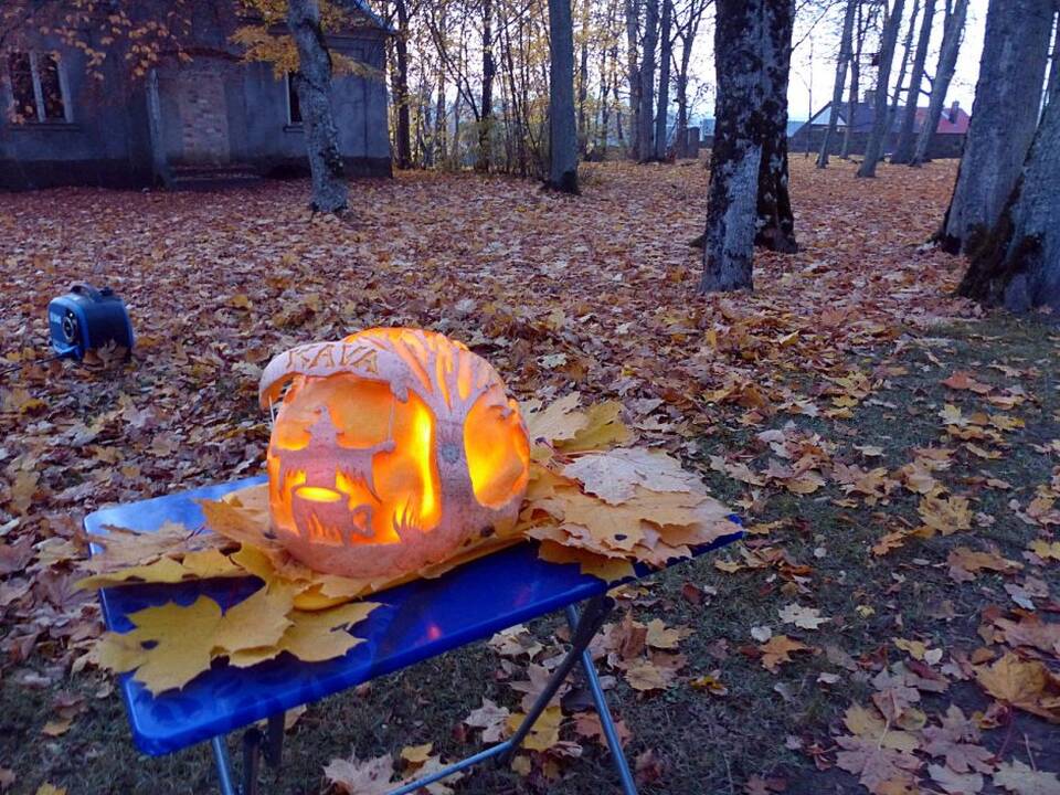 Moliūgų šventė Švėkšnoje
