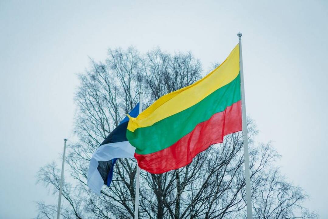 S. Skvernelis susitiko su Estijos prezidente