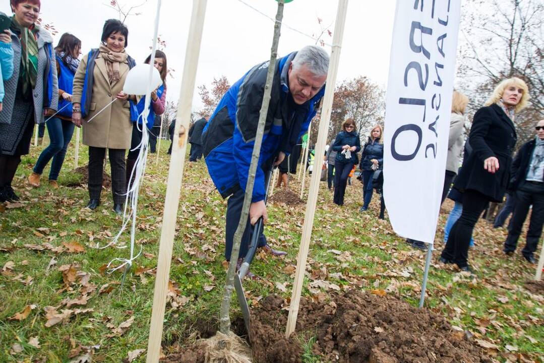 Šventės akimirka