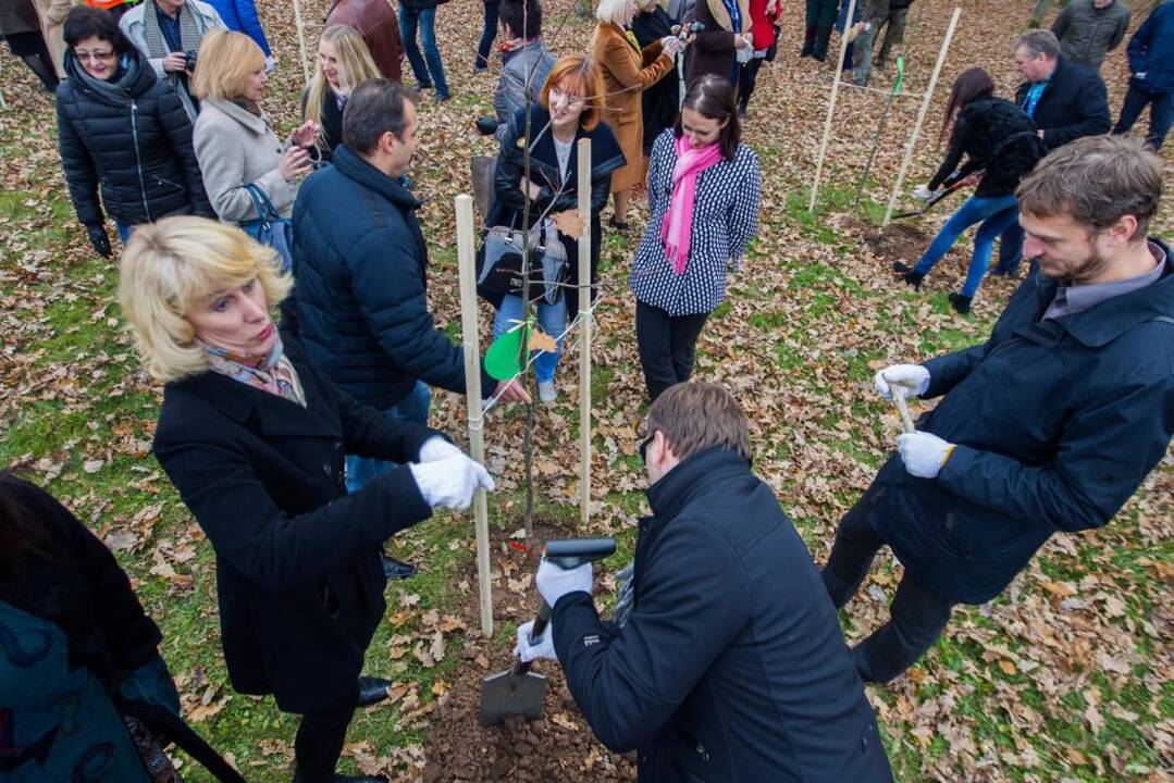 Šventės akimirka