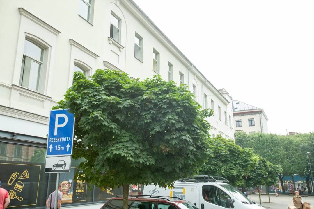 Medžiai