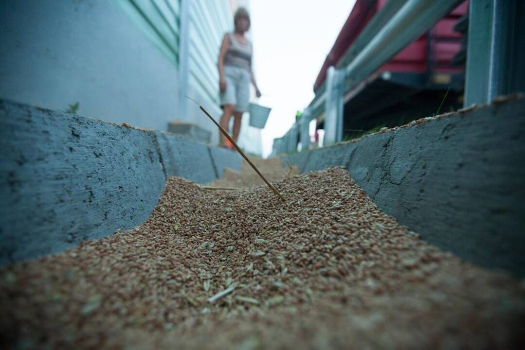 Avarija