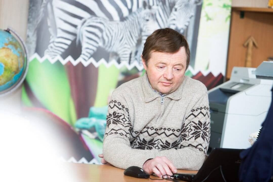 Vėžliukai rengiasi miegui