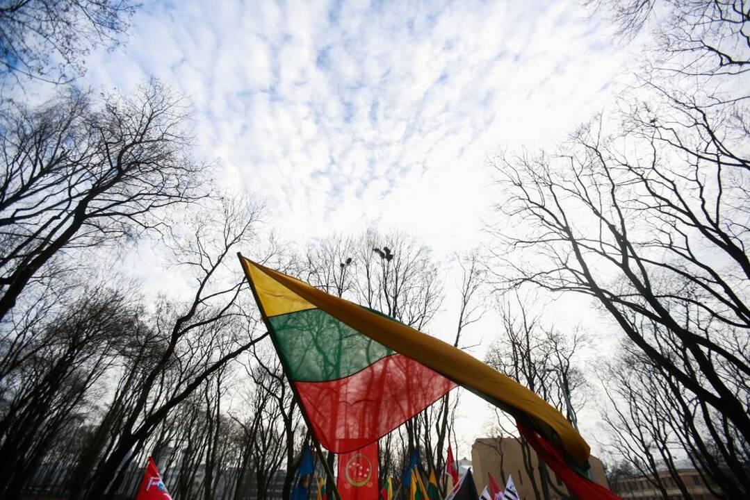 Nacionalistai surengė tradicines eitynes