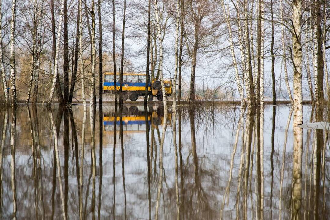 Potvynis pamaryje