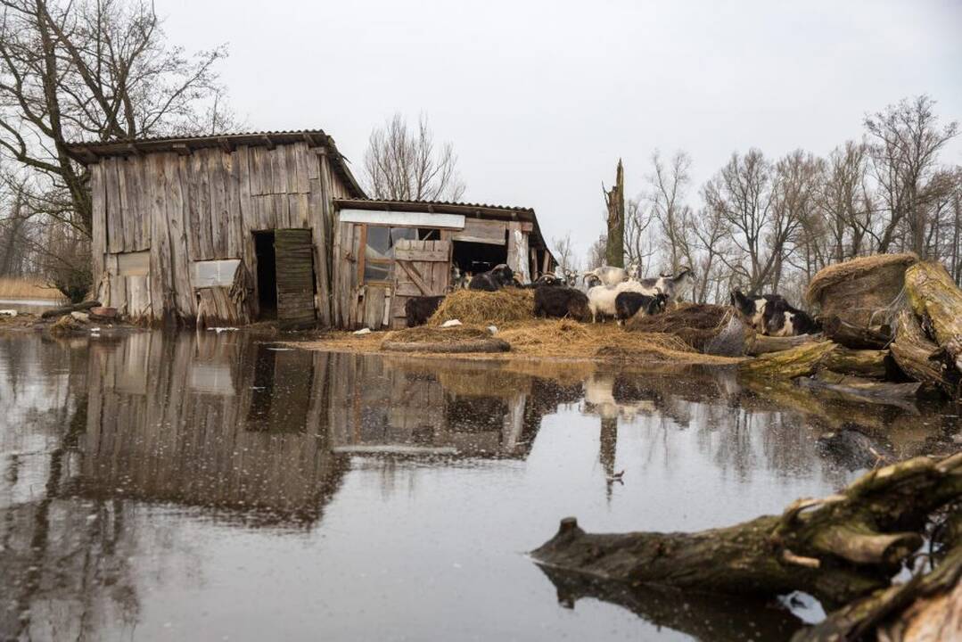 Potvynis pamaryje