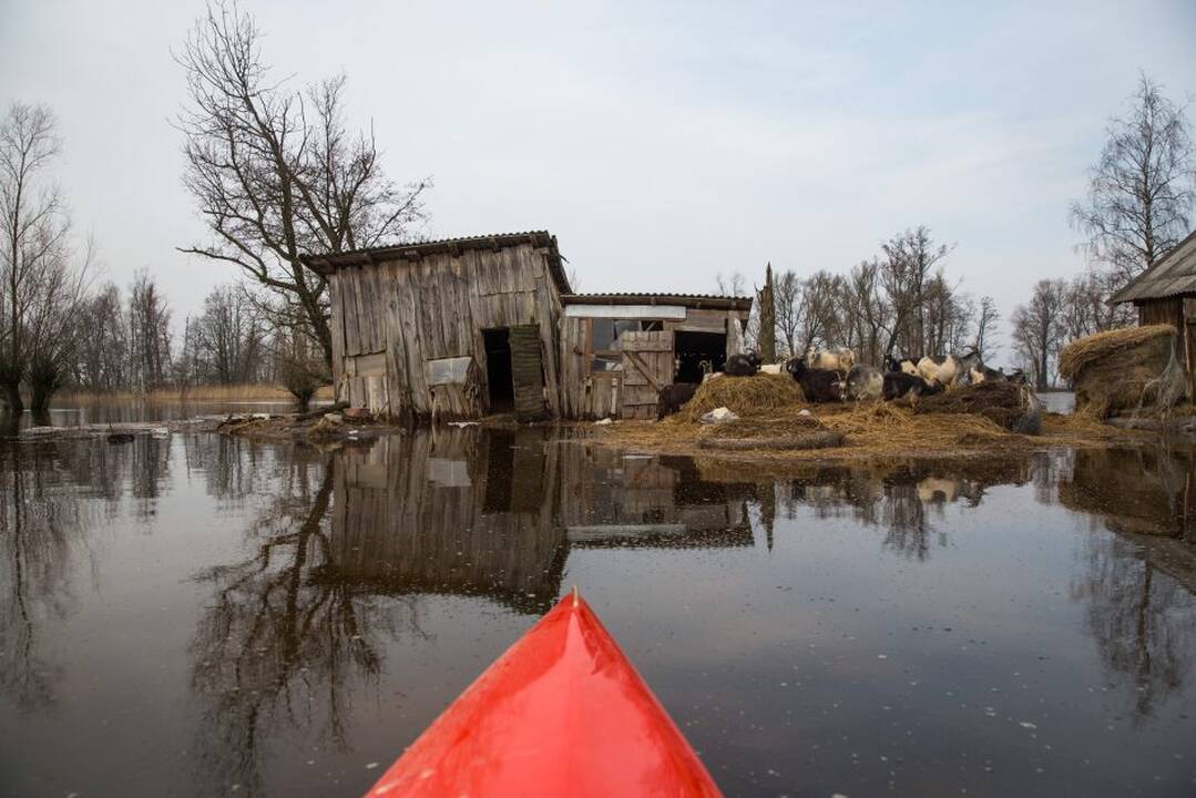 Potvynis pamaryje