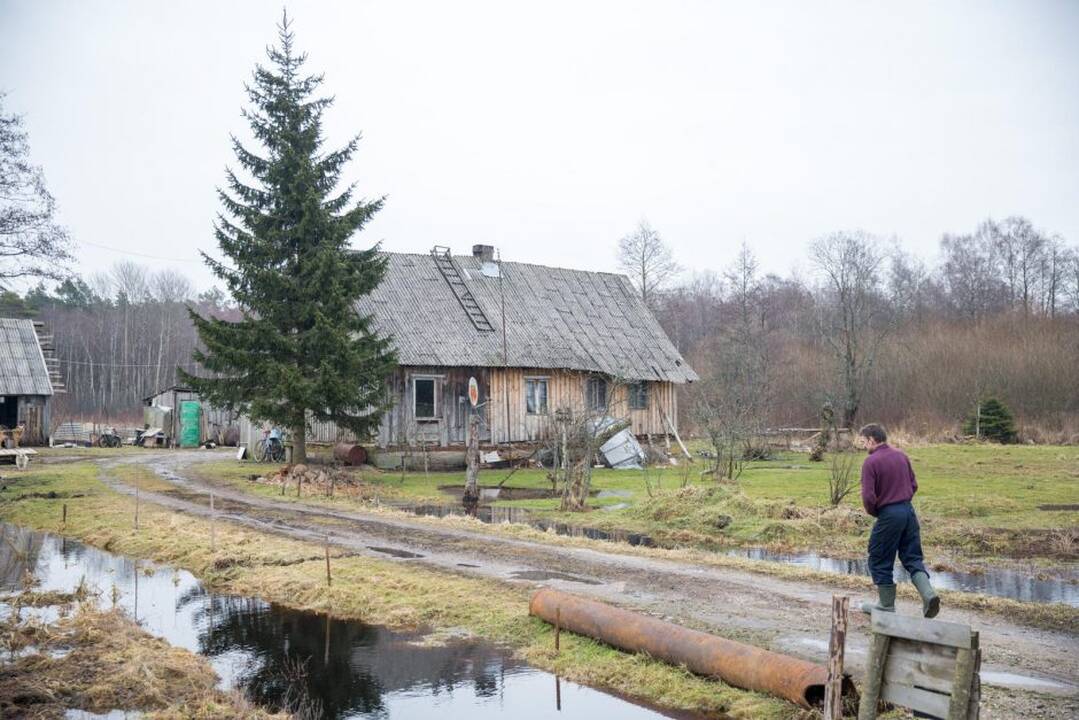 Potvynis pamaryje