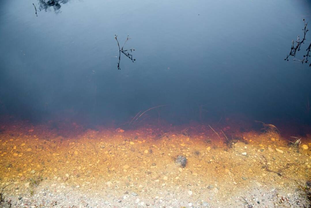 Potvynis pamaryje