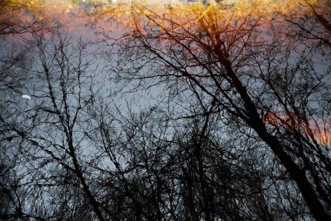 Potvynis pamaryje