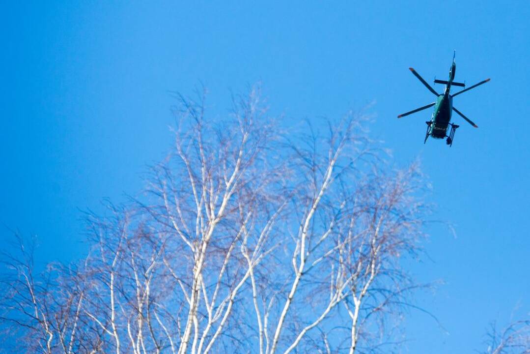 Žūdynių vietą