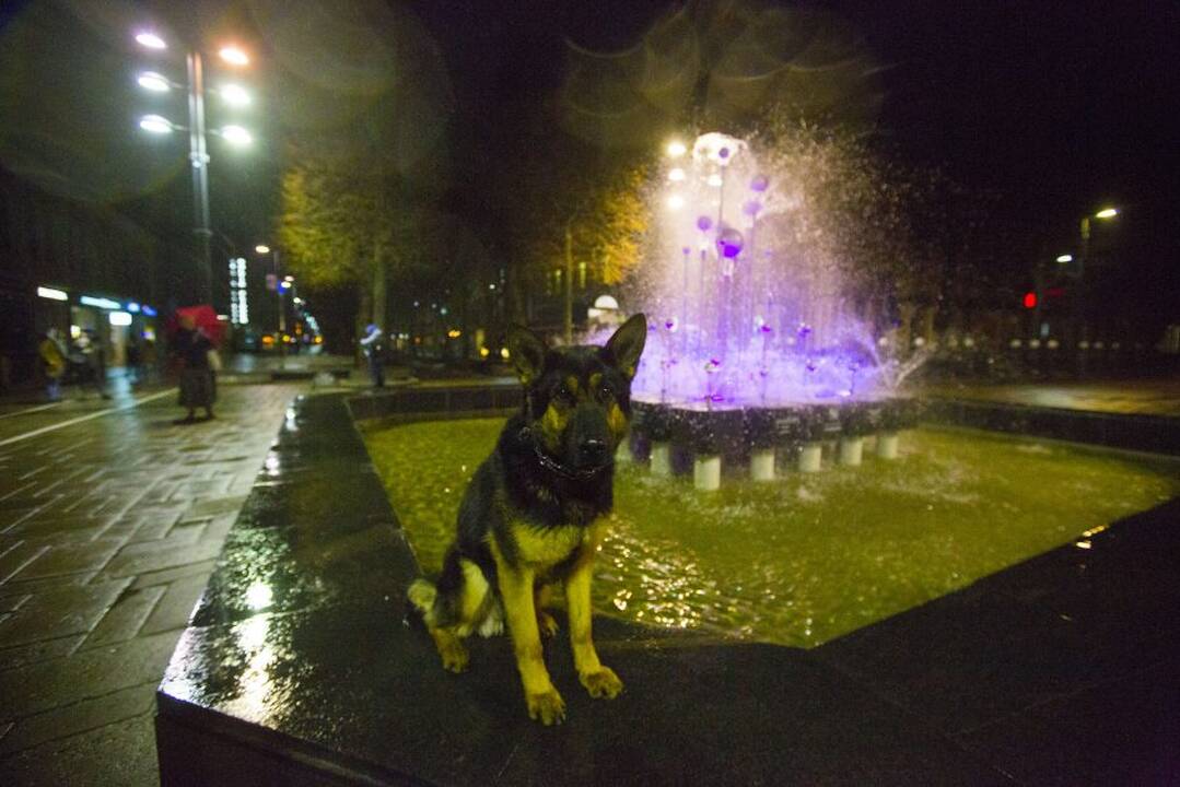 Įžiebtas fontanas