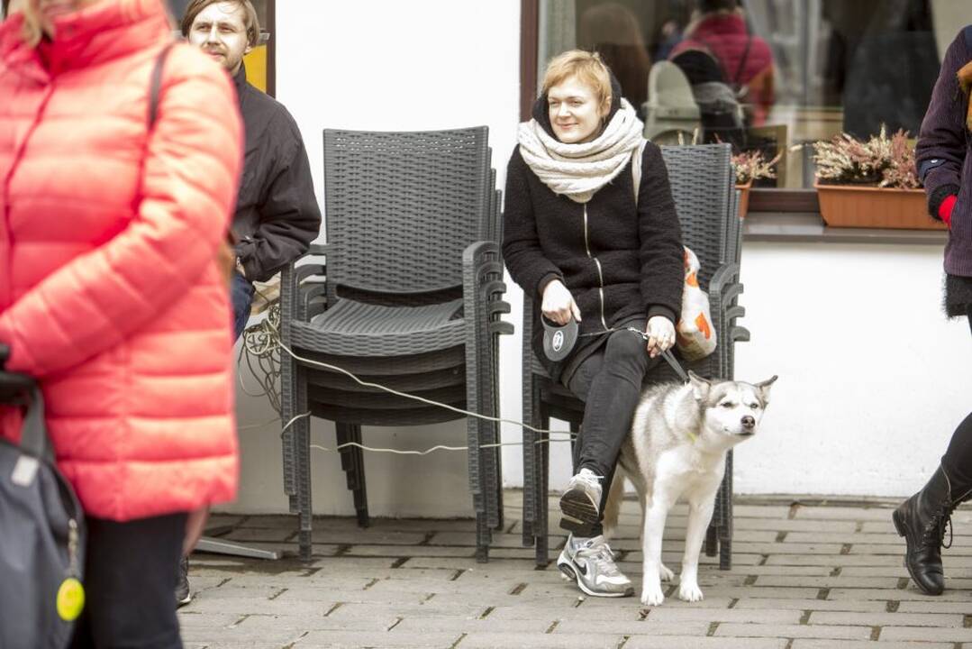 Džiazo gatvė