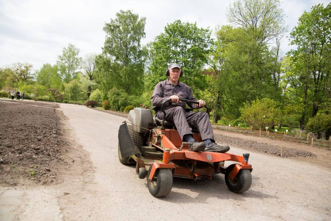 Žavadienis