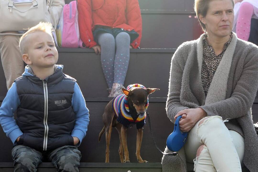 Šv. Pranciškaus diena Kaune