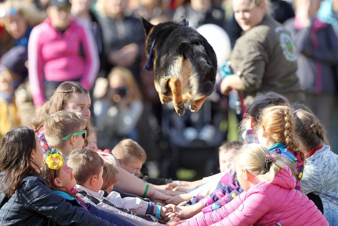 Šv. Pranciškaus diena Kaune