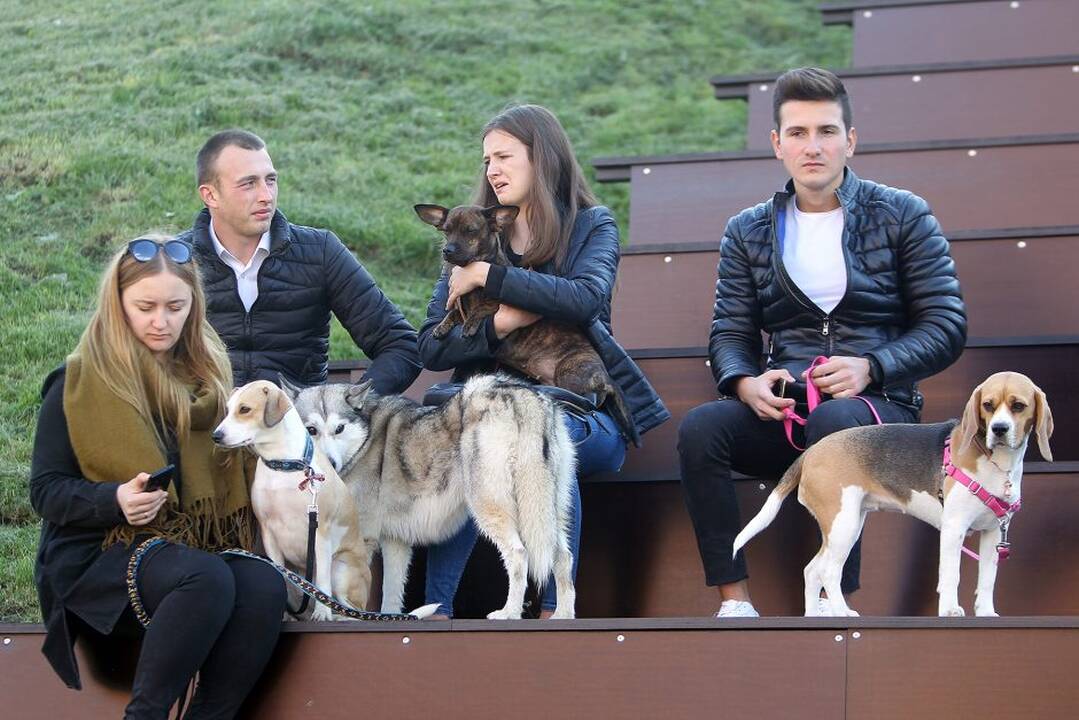 Šv. Pranciškaus diena Kaune