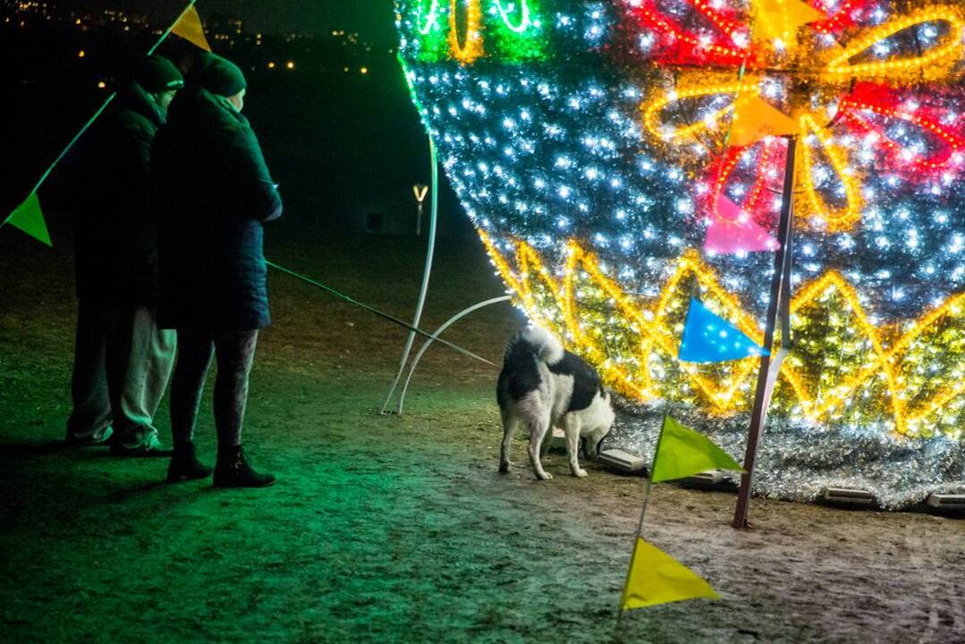 Šv. Velykų margučiai Kaune