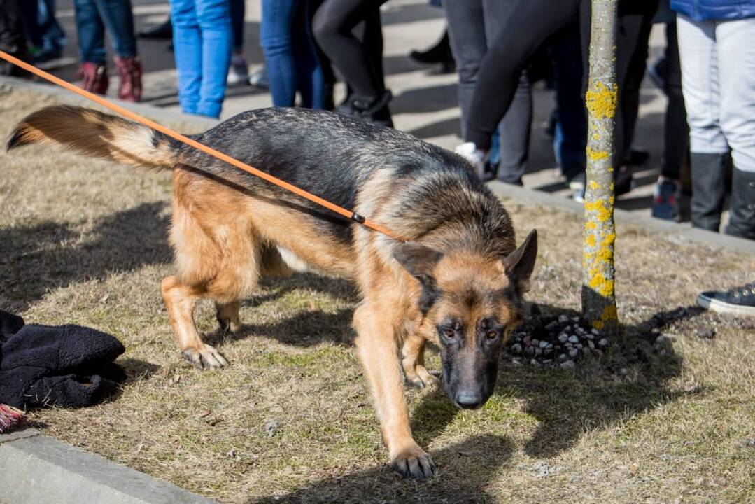 Kauno policijos organizuota atvirų durų diena