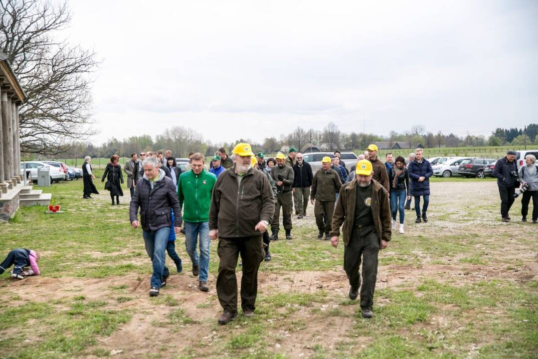 Ąžuolų klonų sodinimo akcija Rumšiškėse