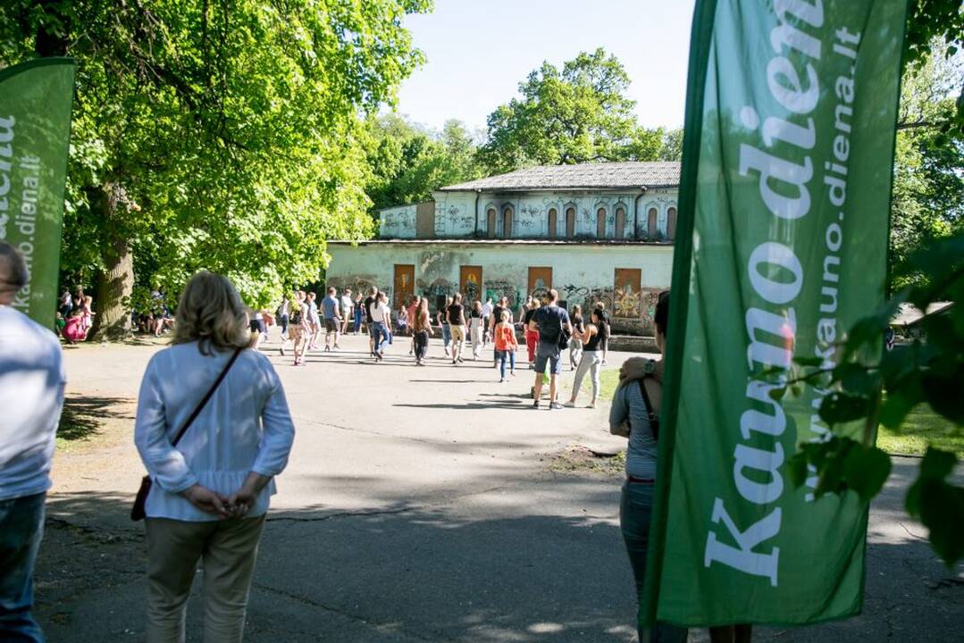 Piknikas Vytauto parke!