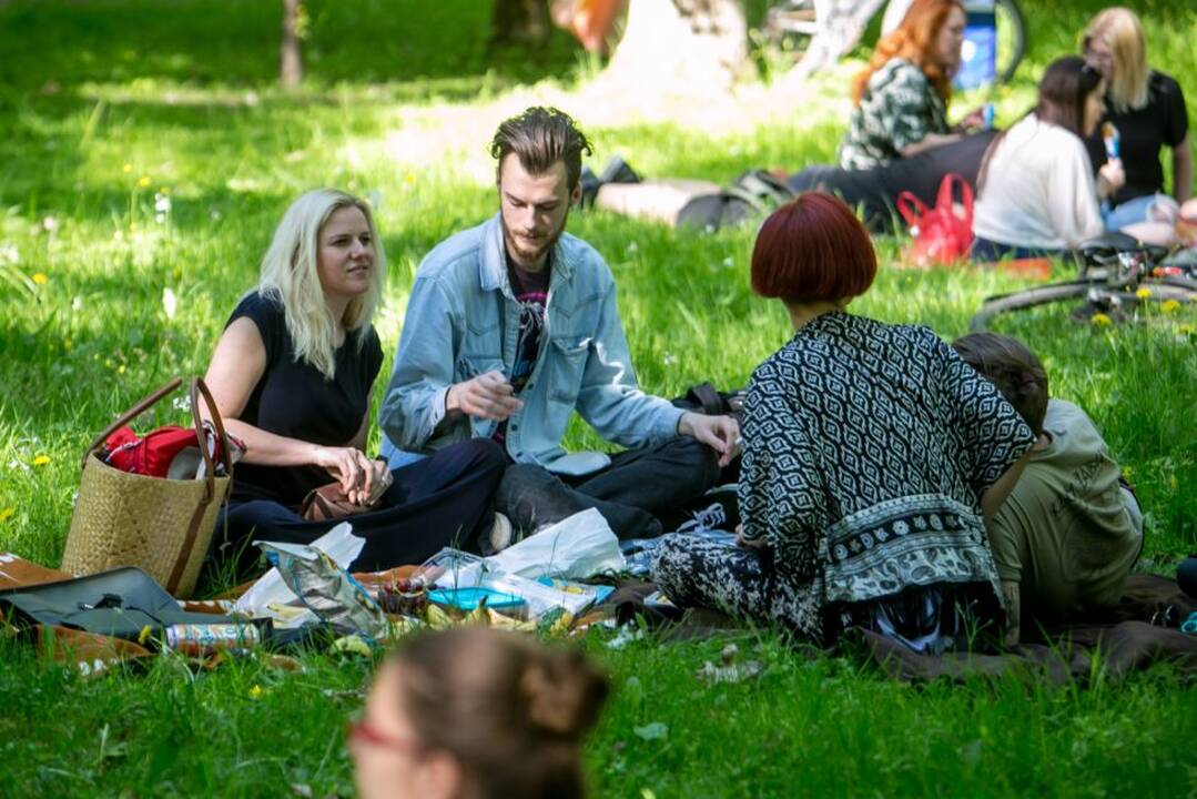 Piknikas Vytauto parke!