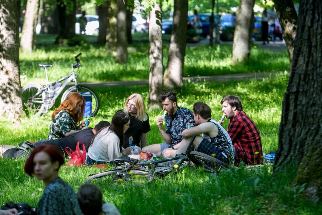 Piknikas Vytauto parke!