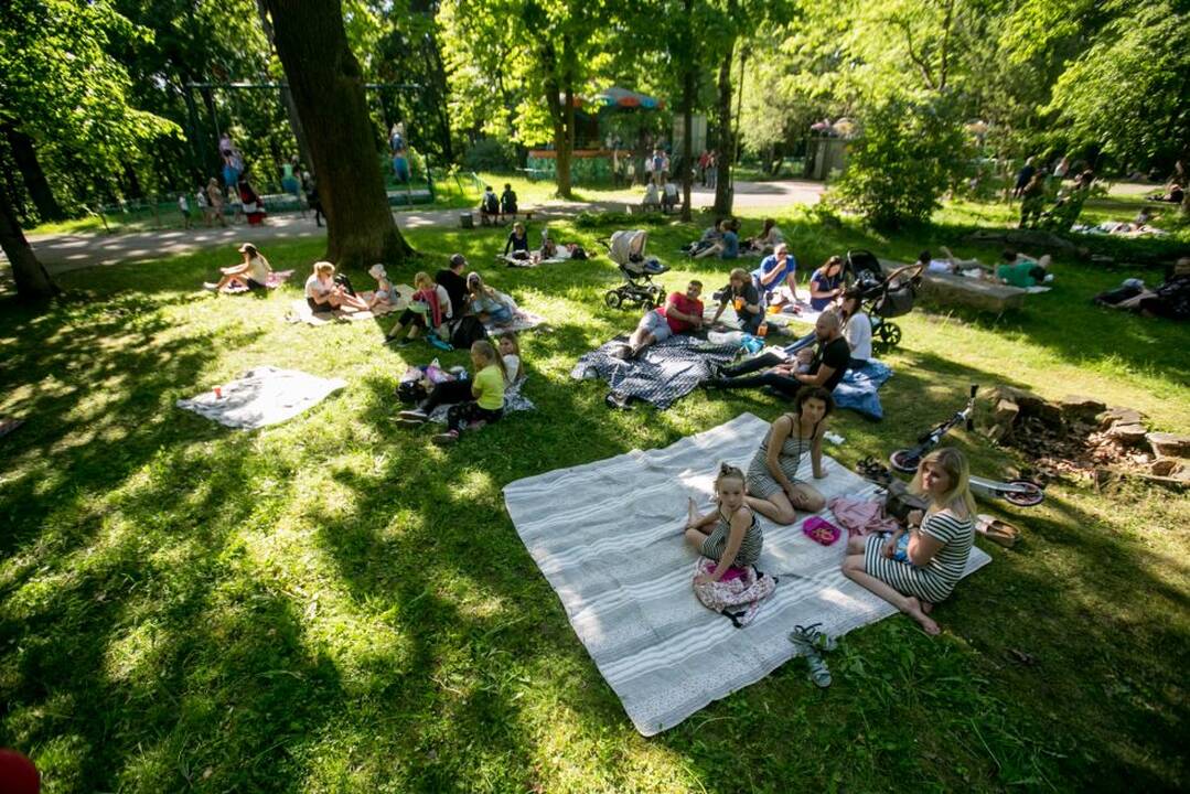 Piknikas Vytauto parke!