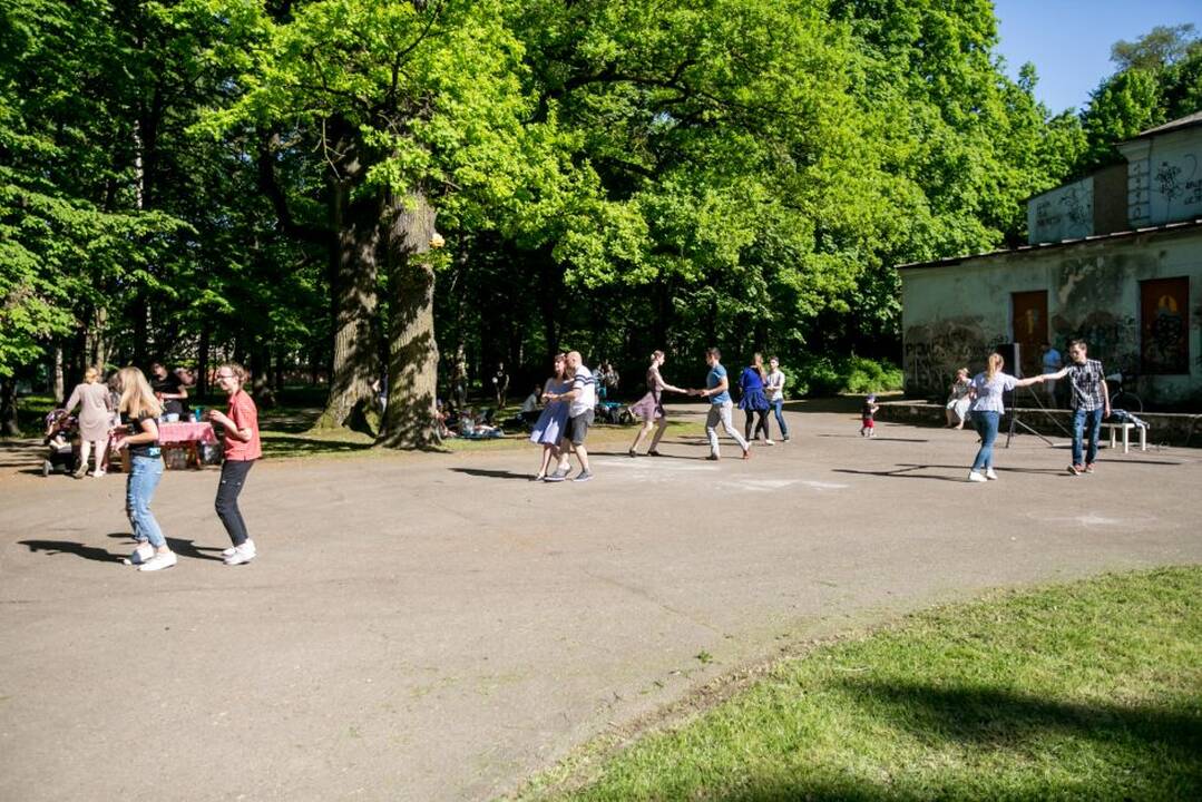 Piknikas Vytauto parke!