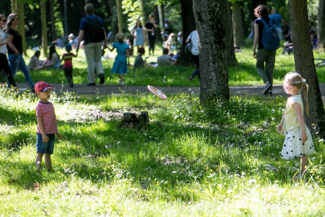 Piknikas Vytauto parke!