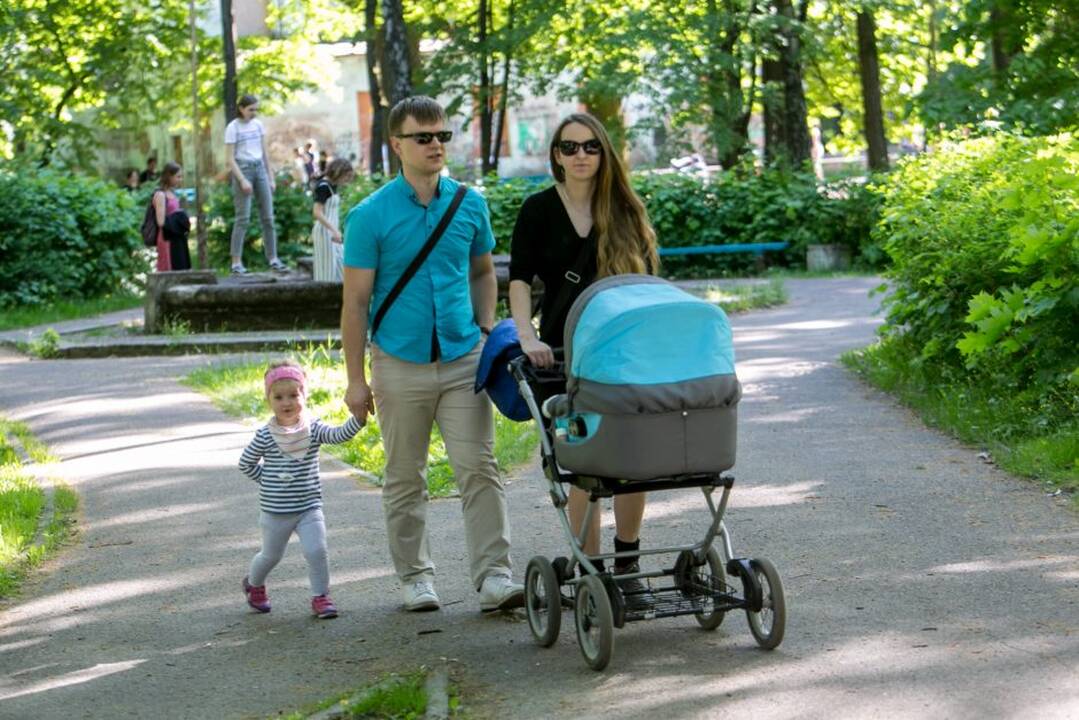 Piknikas Vytauto parke!
