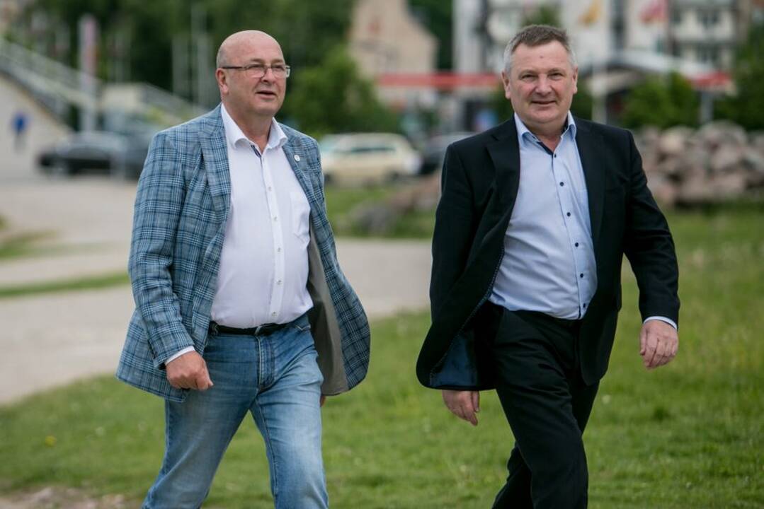 „Žalgirio“ pergalių ąžuoliukas