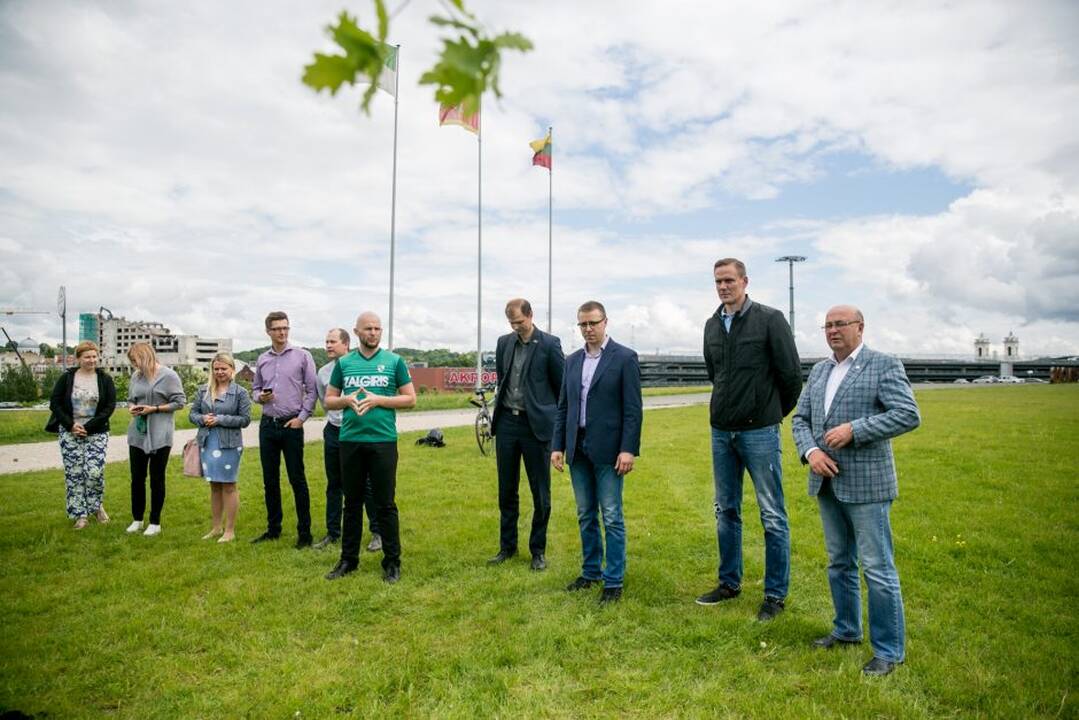 „Žalgirio“ pergalių ąžuoliukas