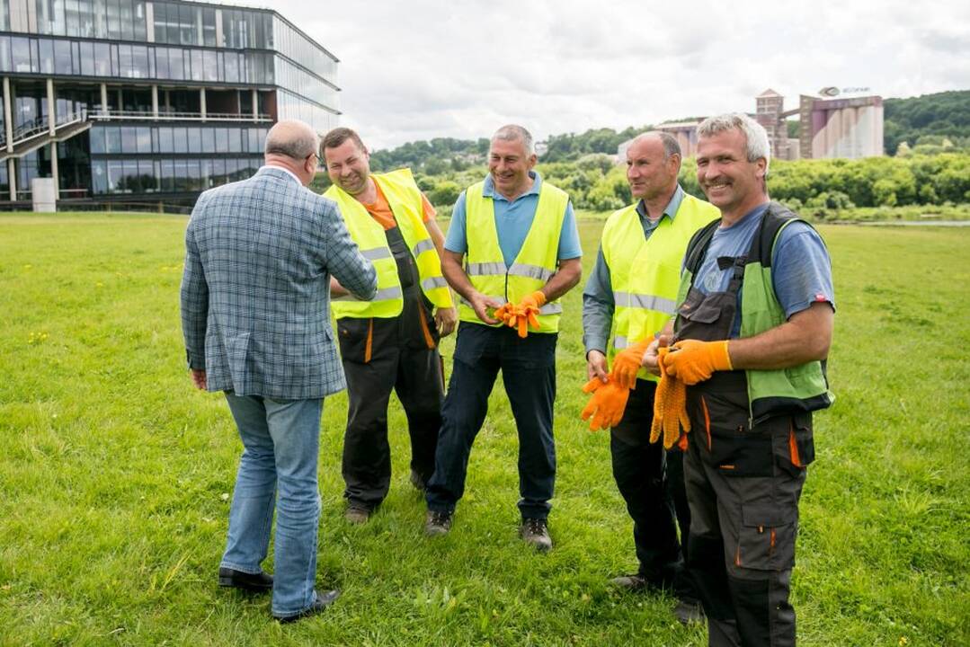 „Žalgirio“ pergalių ąžuoliukas