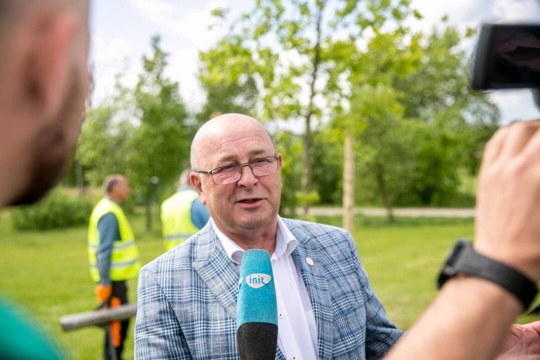„Žalgirio“ pergalių ąžuoliukas