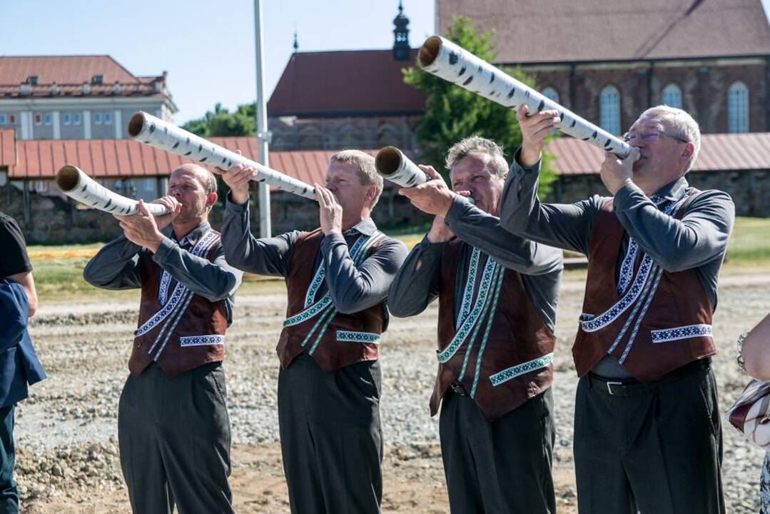Įkasta Vyčio kapsulė