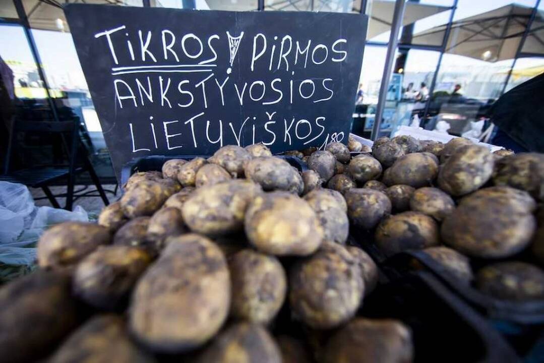 „Benedikto turgus“ 