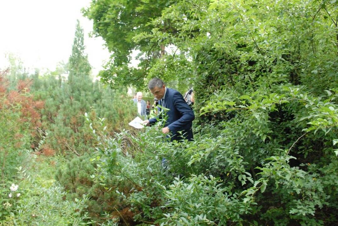 Aprodė užgrobtus sklypus prie Neries