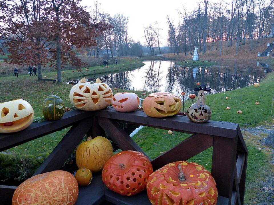 Moliūgų šventė Švėkšnoje