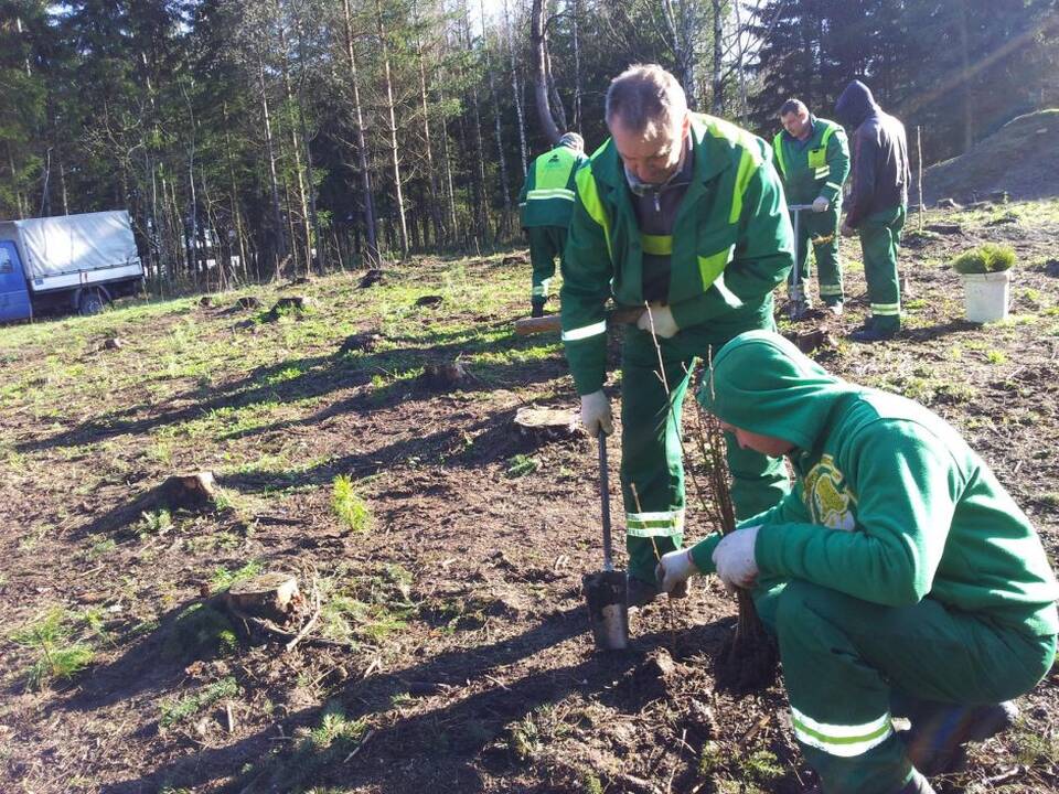 Urėdijų reforma: atleis 400 žmonių, bet tai nebus miškininkai