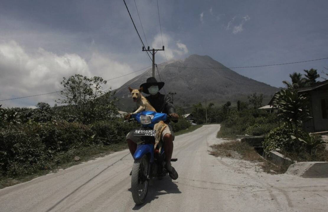 Išsiveržė Sinabungo ugnikalnis Indonezijoje