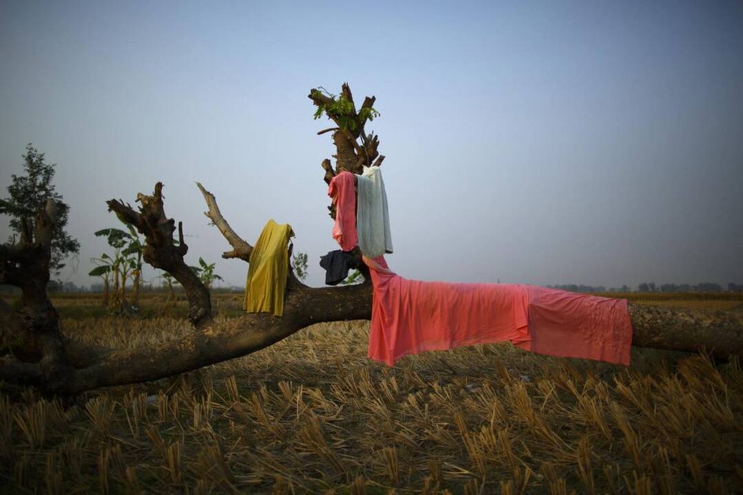 Hinduistų šventė Barijarpuro kaime