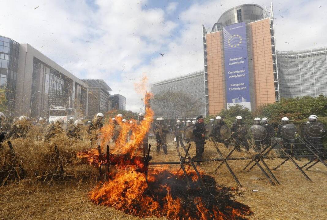 Briuselyje protestavo žemdirbiai