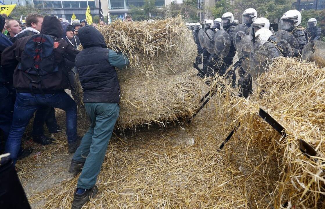 Briuselyje protestavo žemdirbiai